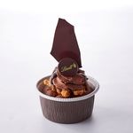 リンツ ショコラ カフェ ビナガーデンズ  海老名店