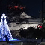 ANAクラウンプラザホテル - ホテルの前が富山城