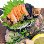 Live Turban Shell Sashimi