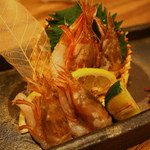 京橋 二刀流 - 関西では珍しいどろエビの刺身！私が一番好きな海老ちゃんです♪