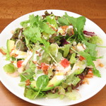 アボカド＆イタリアンバル トディーズ - 