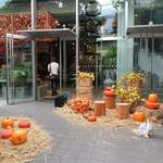 Nicolai Bergmann NOMU - 