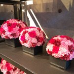 Nicolai Bergmann NOMU - 