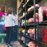 Nicolai Bergmann NOMU - 