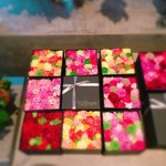 Nicolai Bergmann NOMU - 