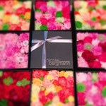 Nicolai Bergmann NOMU - 