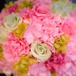 Nicolai Bergmann NOMU - 