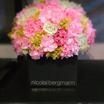 Nicolai Bergmann NOMU - 