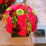 Nicolai Bergmann NOMU - 