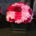 Nicolai Bergmann NOMU - 