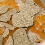 馳走 啐啄一十  - 秋トリュフご飯、ズワイ蟹と新物イクラ　アップ