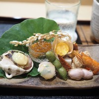 津の守坂 小柴 - 八寸