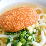 美味しい味のかけ出汁だったので、コロッケを解さないようにして食べました。