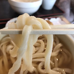 本格さぬきうどん　穂乃香 - いただきます　※結構な剛麺