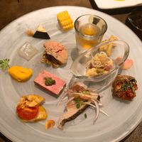 オッジ ダルマット 西麻布店 - 