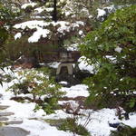 茶寮 宝泉 - 雪景色の庭