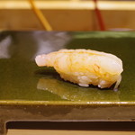 すし晴 - ボタンエビ