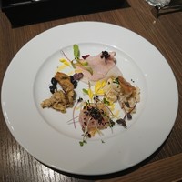 ダルマット 六本木ヒルズ店 - 