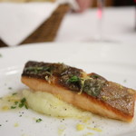 トラットリア トマティカ - 