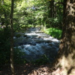 Kisurin Karuizawa - 川のせせらぎ（ハルニレテラス）