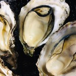 肴鮨菜 七伍のしん