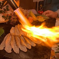 対馬のどぐろとイカ活き造り 博多 魚蔵 都ホテル店 - 