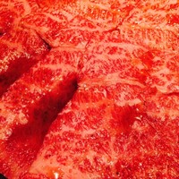 USHIGORO S. NISHIAZABU -  USHIGORO S. NISHIAZABU -