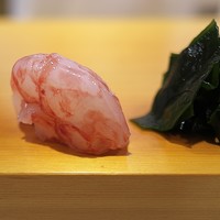 鮨 あらい - とろける甘さのぶどうえび