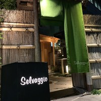 Selvaggio - 