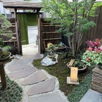 Selvaggio - 