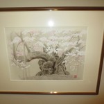 寿し道 桜田 - トイレの桜の絵、円山公園の桜がモチーフ？下に広がっているのは似ていますが、上が違いますね。