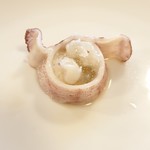 ペレグリーノ - 