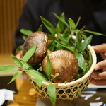 じどりや 穏座 - 松茸