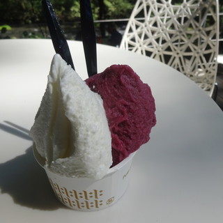 ハーベスト ナガイファーム - 料理写真:巨峰のソルベとはちみつミルク