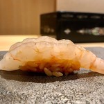 はっこく - 2019.8.  牡丹海老