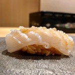 はっこく - 2019.8.  白烏賊