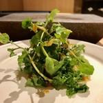 はっこく - 2019.8.  ケールとクレソンのサラダ