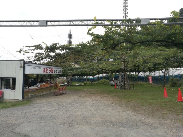 須藤ぶどう酒（スドウブドウシュ） &ndash; 南陽市役所の地元ワインバー