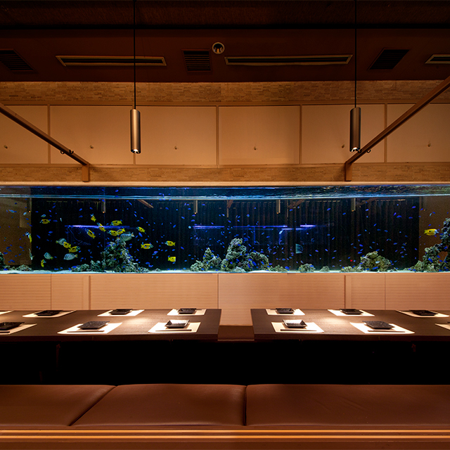 夜景個室 アクアリウム 空の灯 新橋店 新橋 居酒屋 食べログ