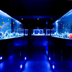 夜景個室×アートアクアリウム 空の灯 新橋店
