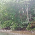 三依渓流つり場食堂 - 