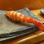 日本橋橘町　都寿司 - 車海老（2012/2)