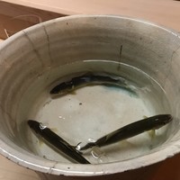 松川 - 