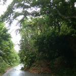 そば家　なかもと - 土砂崩れ