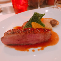 Benoit Alain Ducasse - 