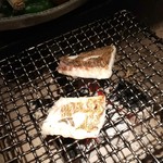 ボヘミアン フクシマ - 鯛