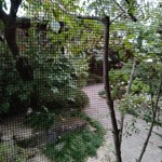 ぎゃらりぃかふぇ華野 - 