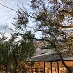 TENOHA＆STYLE　RESTAURANT - テラス上空