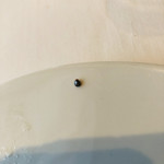 レストラン マノワ - 