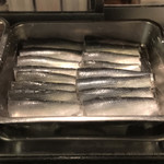 ささだ河庄 - コハダ？小さめです。